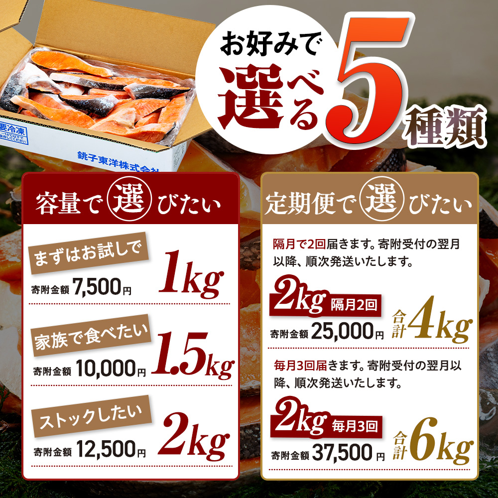 訳あり 塩銀鮭 切り身 【選べる内容量】 約 1kg 約 1.5kg 約 2kg 定期便 人気 鮭 さけ しゃけ サーモン 切身 冷凍 食品 小分け 大容量 千葉県 銚子 銚子東洋